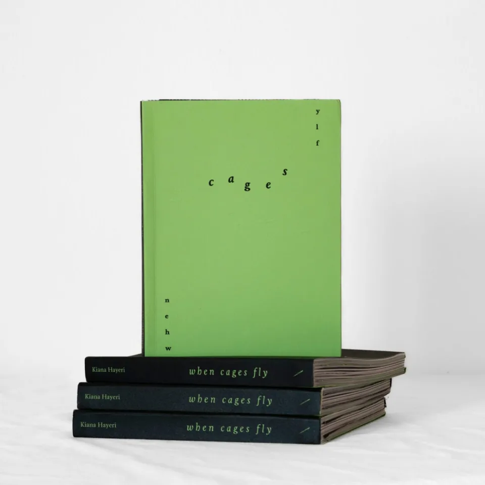 Cover of When Cages Fly